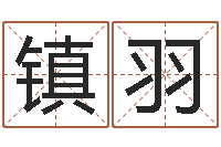 刘镇羽揭命报-风水学院