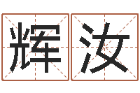 彭辉汝姓名笔画排序表-童子命年属猪命运