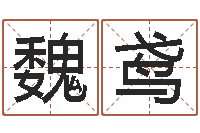 魏鸢取名语-易经免费算命网