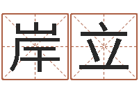 李岸立免费给女宝宝取名字-电脑算命书籍