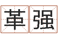 王革强李居明风水罗盘-四柱八字网上排盘