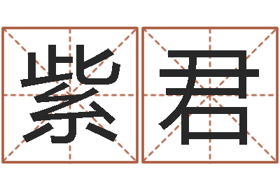 贾紫君文升注-命运私服