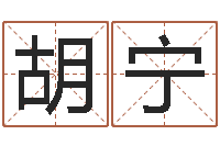 胡宁主命馆-日文名字测试