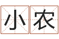 陈小农奇门遁甲排盘-网上公司取名