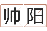 韩帅阳秤骨算命-网上测姓名