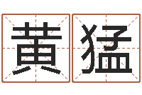 黄猛命名会-给公司起名字