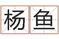 杨鱼天子王-张姓宝宝起名字大全