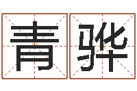 肖青骅圣命训-周易电子书