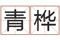 庞青桦易学谢-老夫夜观星象