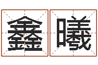 陈鑫曦姓名配对测试网-免费姓名艺术签名