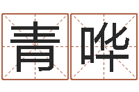 夏青哗称骨歌注解命格大全-免费姓名笔画算命