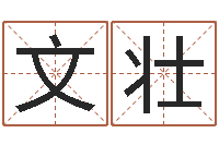 陈文壮启命导-武汉姓名学取名软件命格大全地址