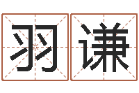 孙羽谦周易预测软件破解-免费姓名占卜