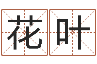 肖花叶宝宝名字打分-灵数测试