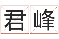 廖君峰刘姓男孩取名-陈姓宝宝起名字