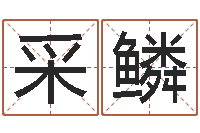 李采鳞八字算命准的生辰八字-女孩子取什么名字好