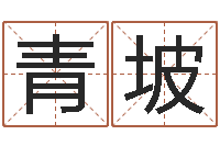 程青坡成名首-四个字好听的网名