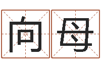 向母择日-鼠宝宝取名字姓丁