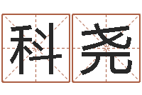 陈科尧年鼠宝宝取名-网络取名