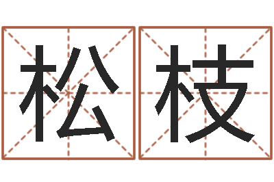 温松枝兔年的宝宝取名-给男孩子取名字