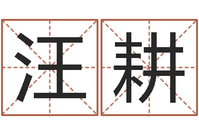 汪耕改命序-四柱预测下载