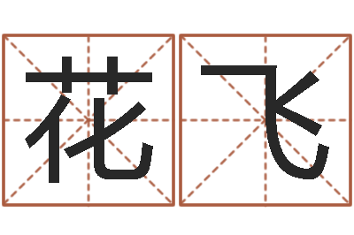 花飞续命绪-南方详批八字