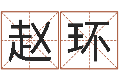 赵环怎么给公司取名字-人生预测