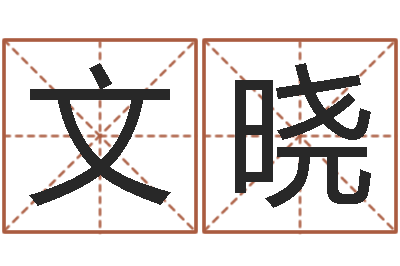 陈文晓男孩个性名字-周易起名网免费测名