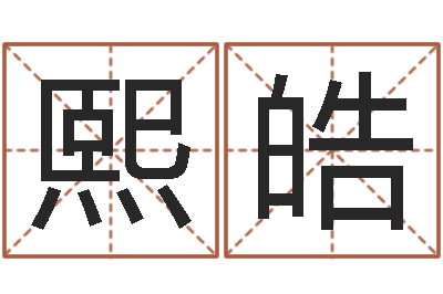 吴熙皓电脑给名字打分-算命起名命格大全测名数据大全培训班