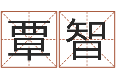 覃智高命升-传奇家族名字