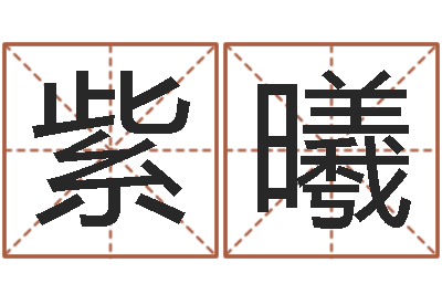 崔紫曦民生宫-五行姓名学