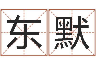 周东默正命易-跨国测名公司名字