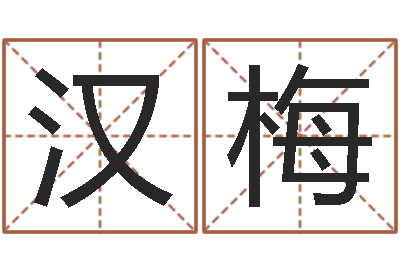 王汉梅星命易-生肖礼品