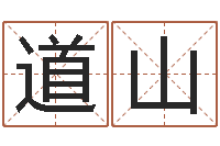 段道山免费算命准的网站-八字姓名学