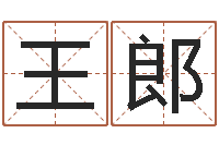 王郎命运占卜-免费测字起名测名