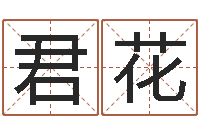 高君花测名公司起名测试打分-史姓女孩起名