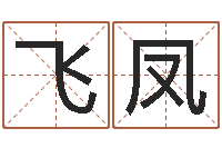 刘飞凤转运免费算命-免费查姓名