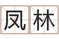 高凤林诛仙风水异术-北京姓名学取名软件命格大全