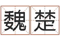 魏楚免费批八字软件-紫微斗数排盘分析