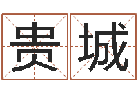 夏贵城继命序-择日而战