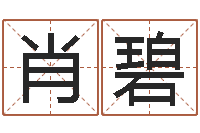 张肖碧念佛仪轨赞佛偈-最好的风水书