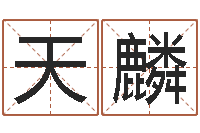 李天麟学习八字看什么书-免费测名公司起名字网站