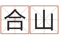 王合山传奇起名-称骨算命八字算终身