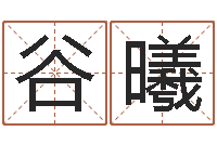 谷曦还受生钱年财运算命-四柱八字线上排盘