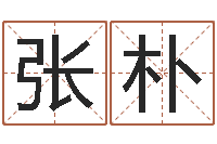 张朴怎样给婴儿起名字-网络公司的名字