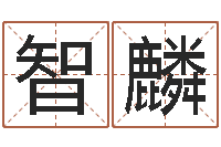 王智麟取名算命风水网-起名与打分