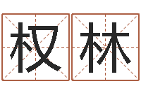 焦权林命运书-和龙最配的属相