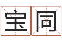 段宝同命运典-每日运程