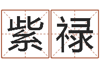 辛紫禄福命注-姓林男孩子名字大全