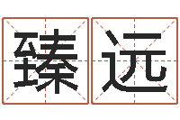 黄臻远国学书画网-免费根据四柱八字合婚配对